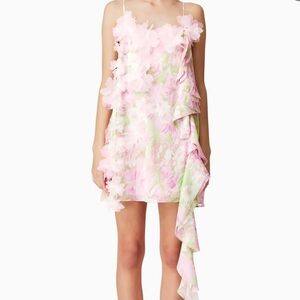 Elliant Floral Pink and Green Ruffle Dress